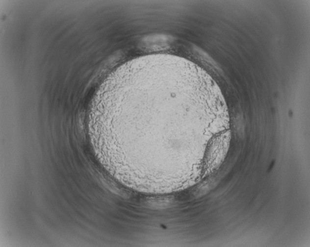 X0000079320373200612151823