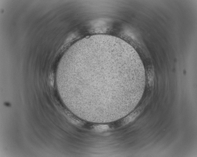 X0000079320374200612151823