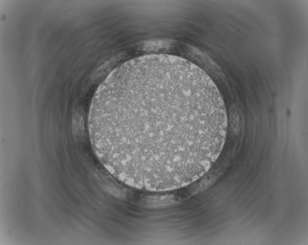 X0000079320375200612151823