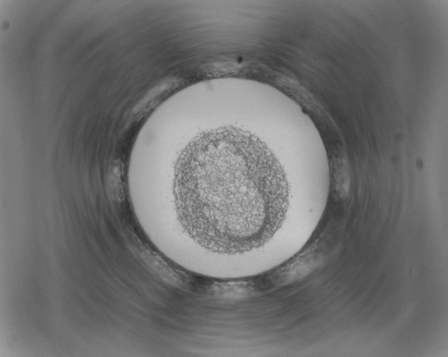 X0000079320378200612151823