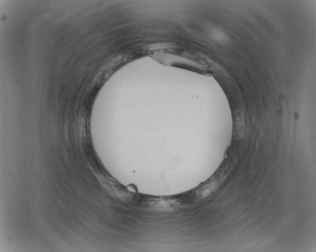 X0000079320379200612151823