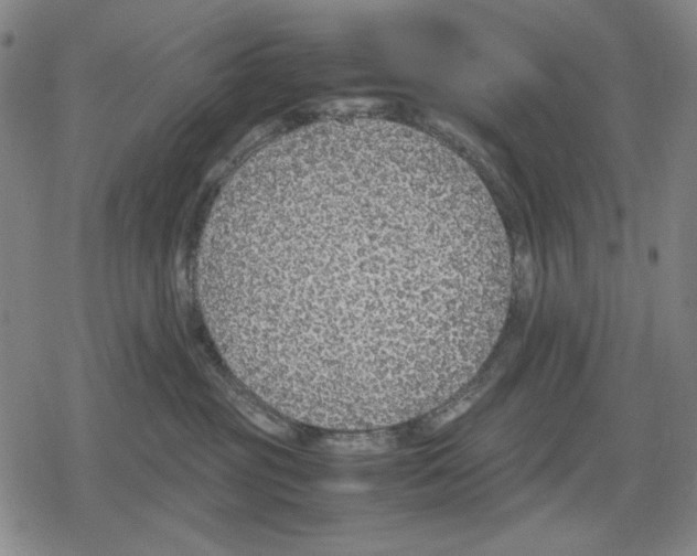 X0000079320381200612151823