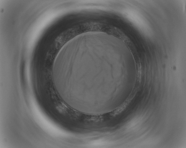 X0000079320383200612151823