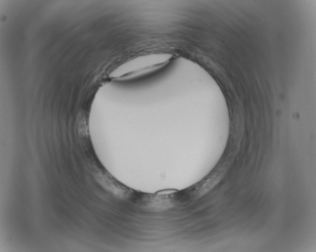 X0000079320384200612151823