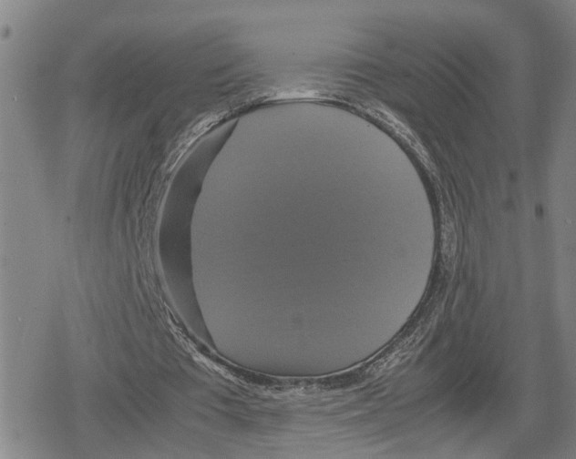 X0000079320385200612151823