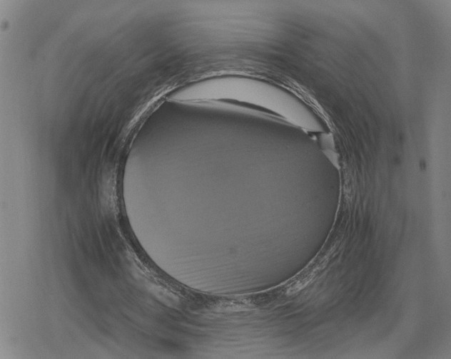 X0000079320386200612151822