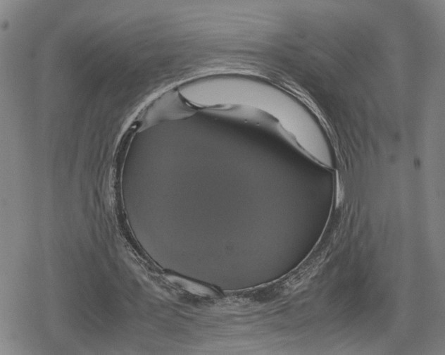 X0000079320387200612151822