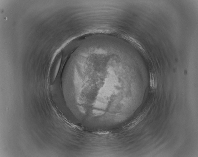 X0000079320388200612151822