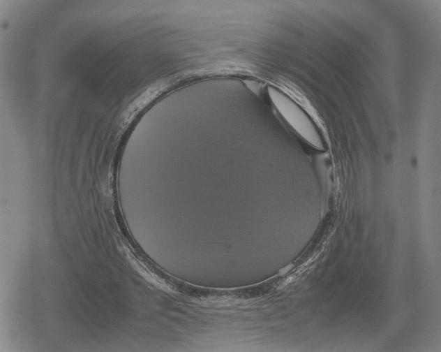 X0000079320389200612151822