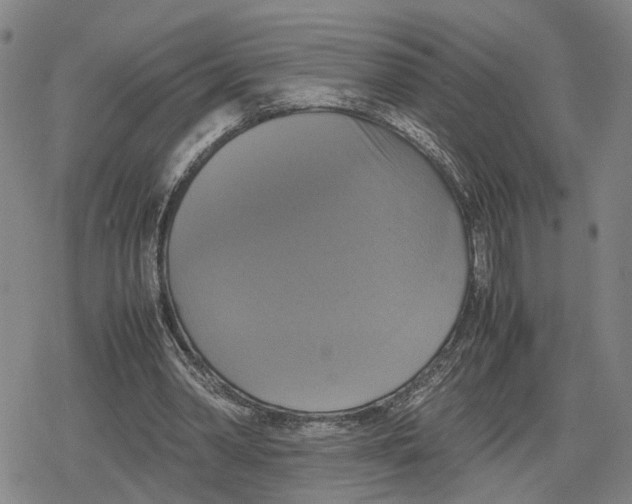 X0000079320390200612151822