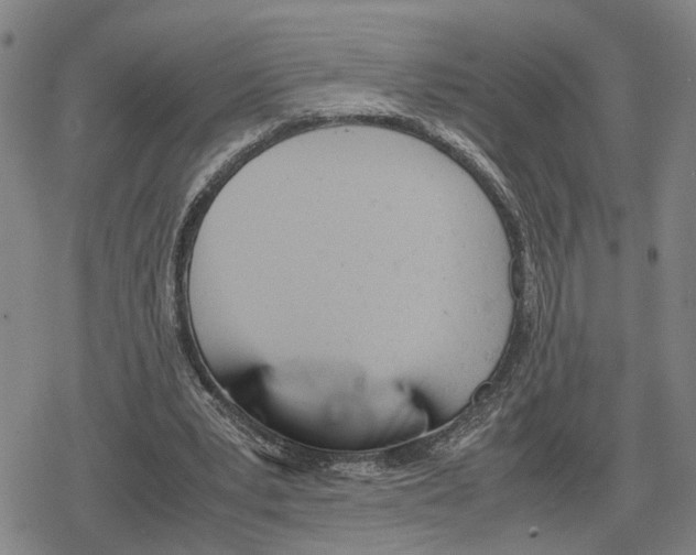 X0000079320391200612151822