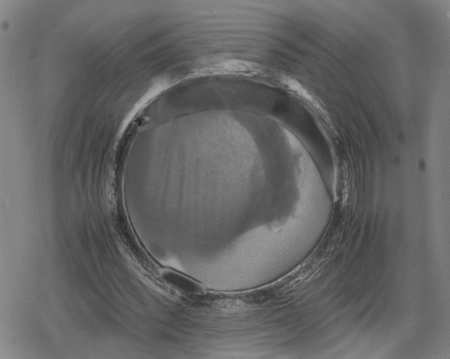 X0000079320392200612151822