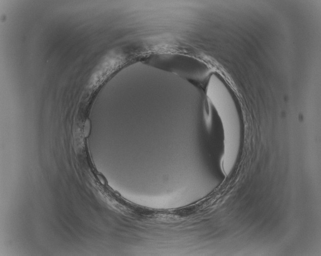 X0000079320393200612151822