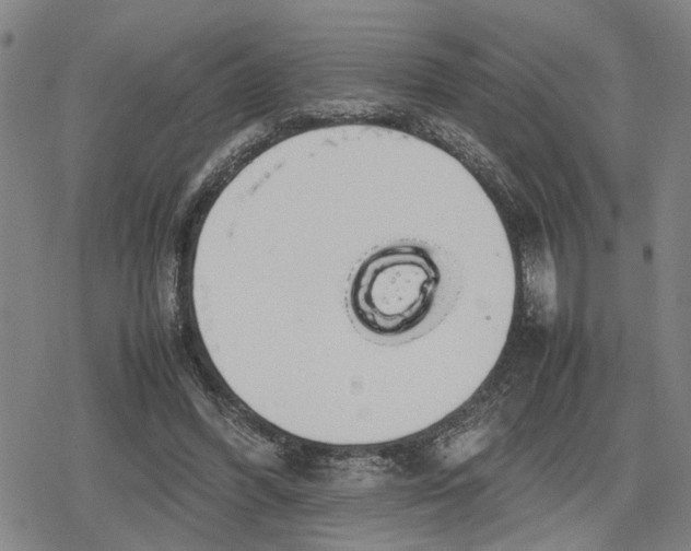 X0000079320396200612151822