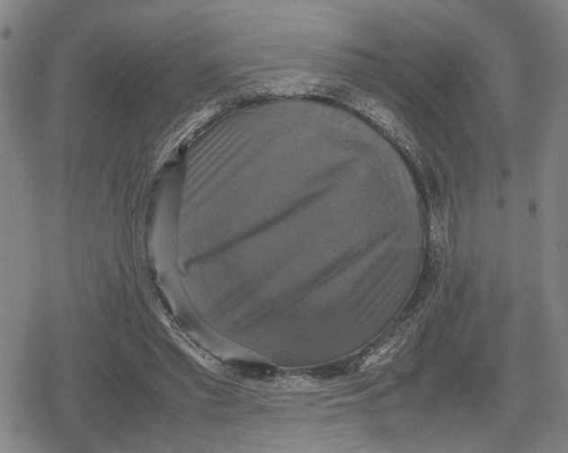 X0000079320397200612151822