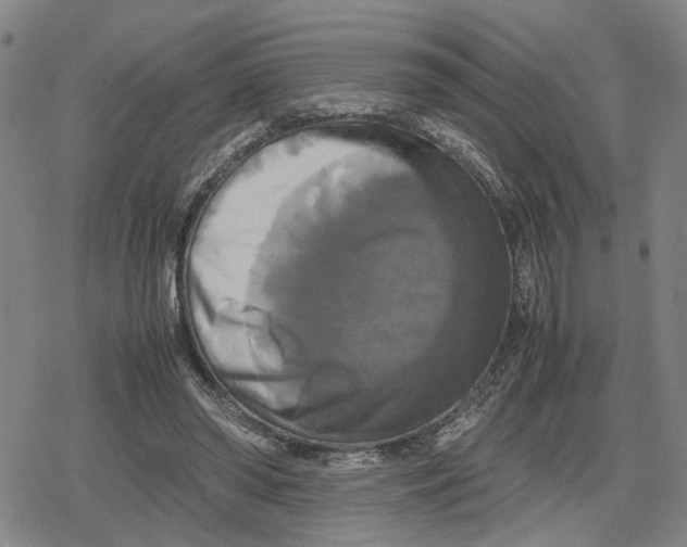 X0000079320398200612151822