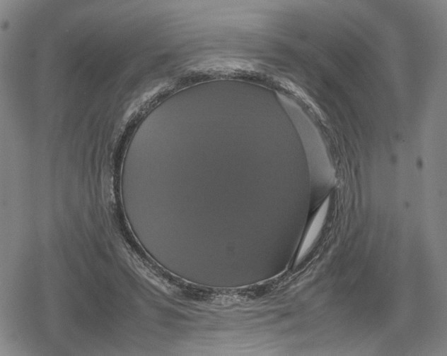 X0000079320399200612151822