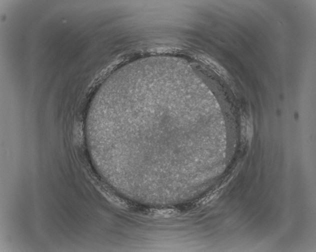 X0000079320401200612151822