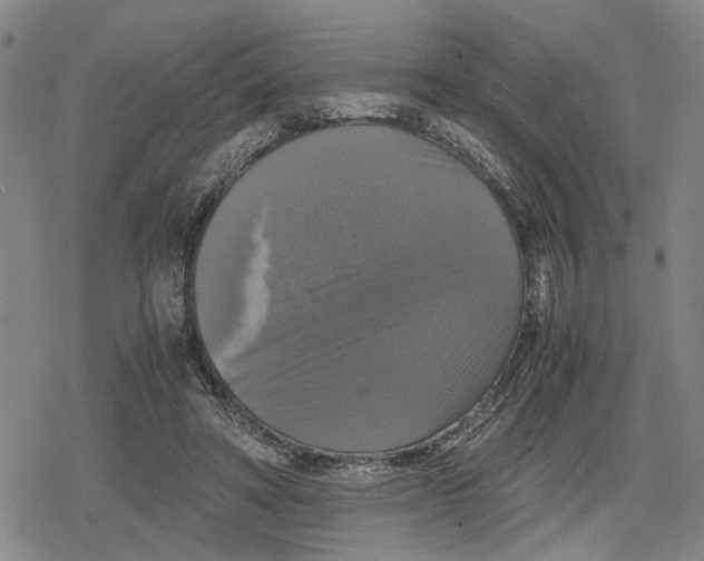 X0000079320402200612151822