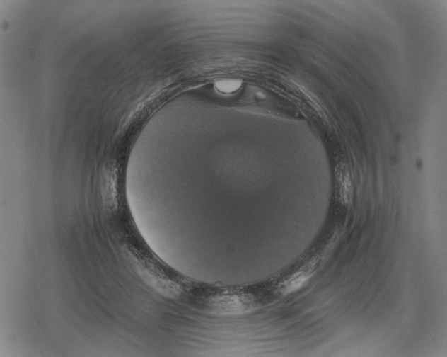 X0000079320404200612151822