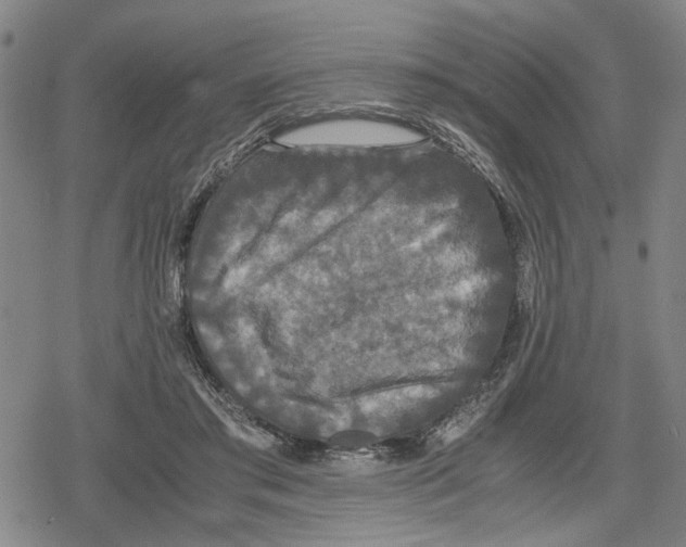 X0000079320405200612151822