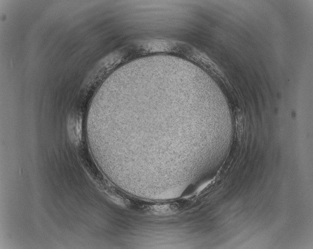 X0000079320406200612151822