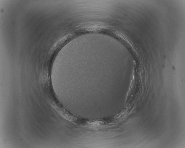 X0000079320407200612151822