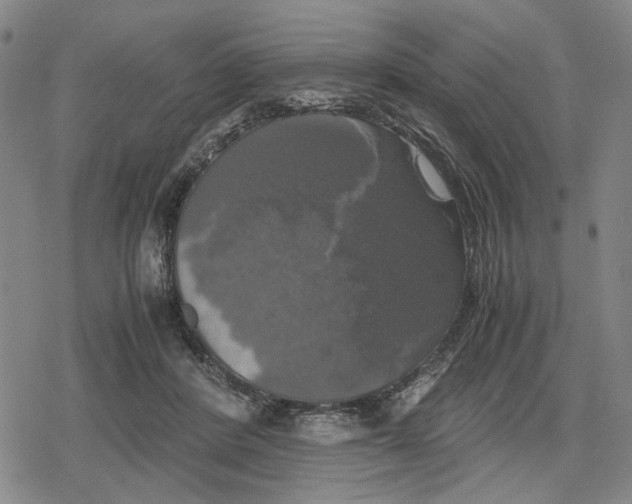 X0000079320408200612151822