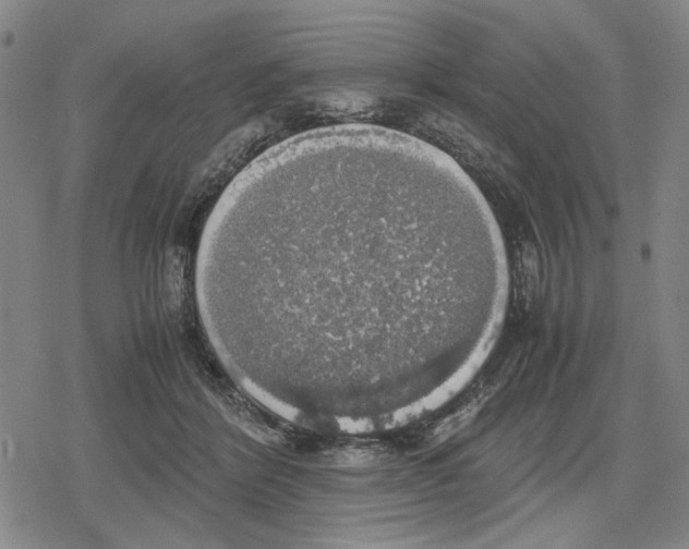 X0000079320412200612151822