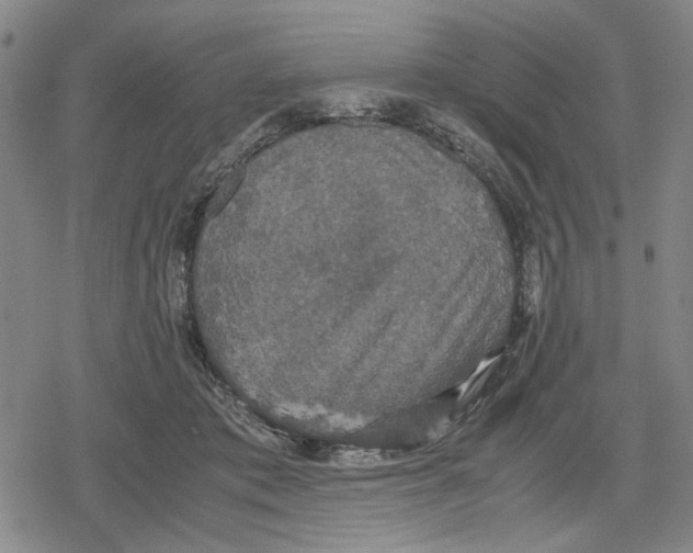 X0000079320413200612151822