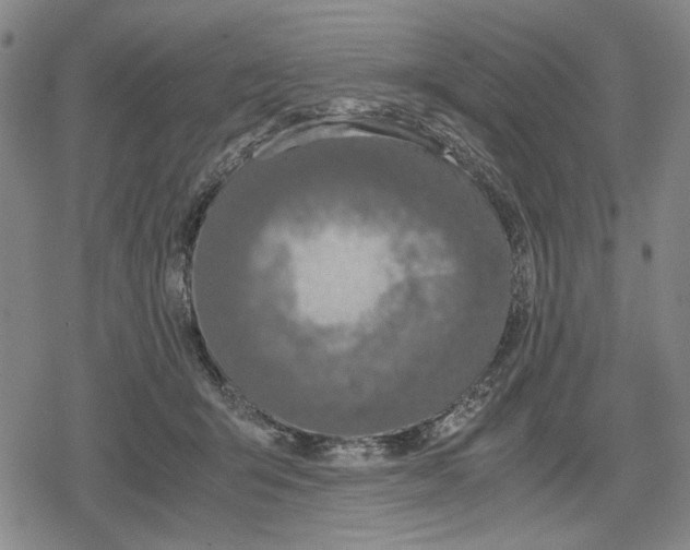 X0000079320415200612151822