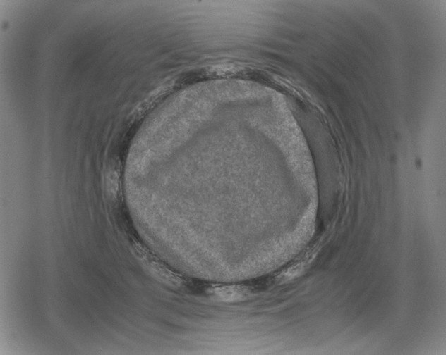 X0000079320417200612151822