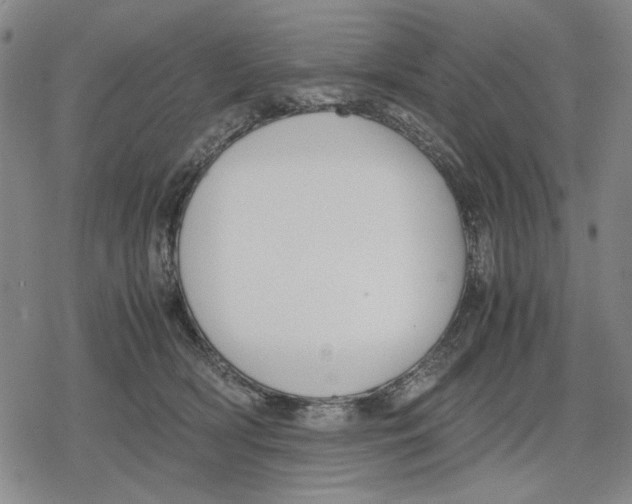 X0000079320418200612151822