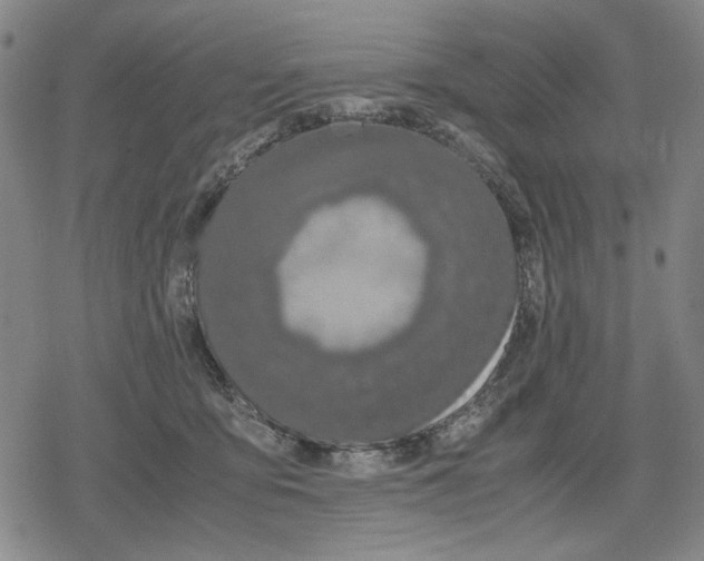 X0000079320419200612151822