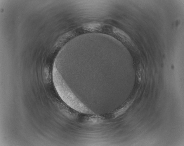 X0000079320420200612151822