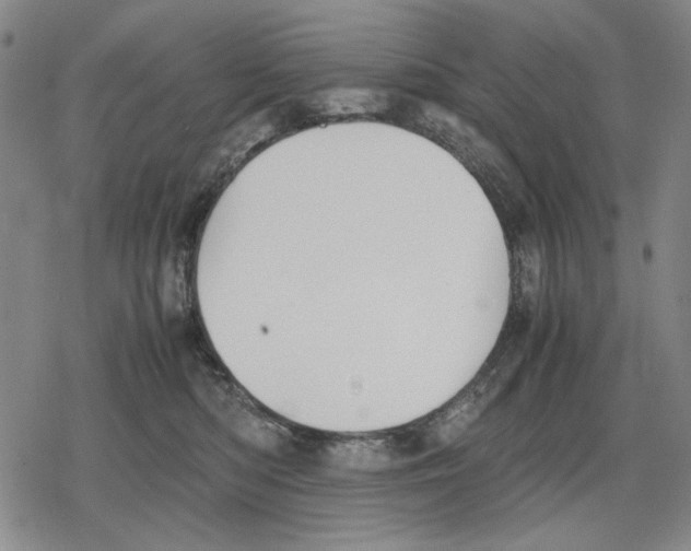 X0000079320422200612151822