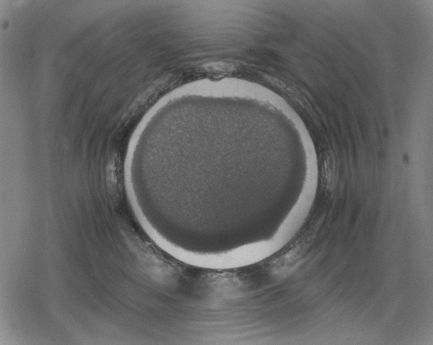 X0000079320424200612151822