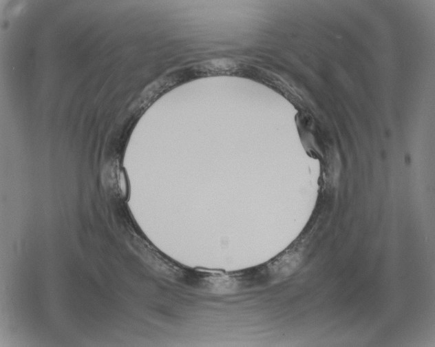 X0000079320425200612151822