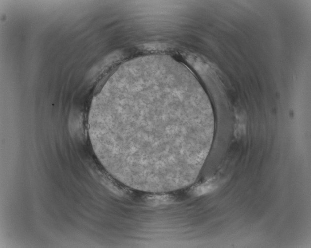 X0000079320428200612151822