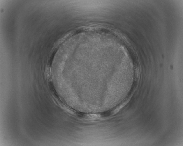 X0000079320429200612151822