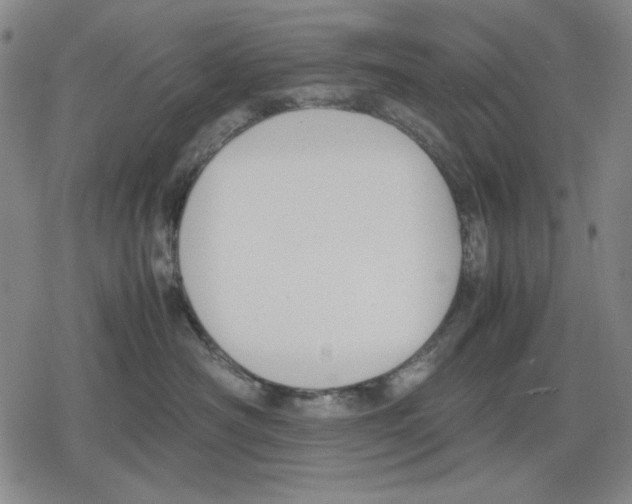 X0000079320430200612151822