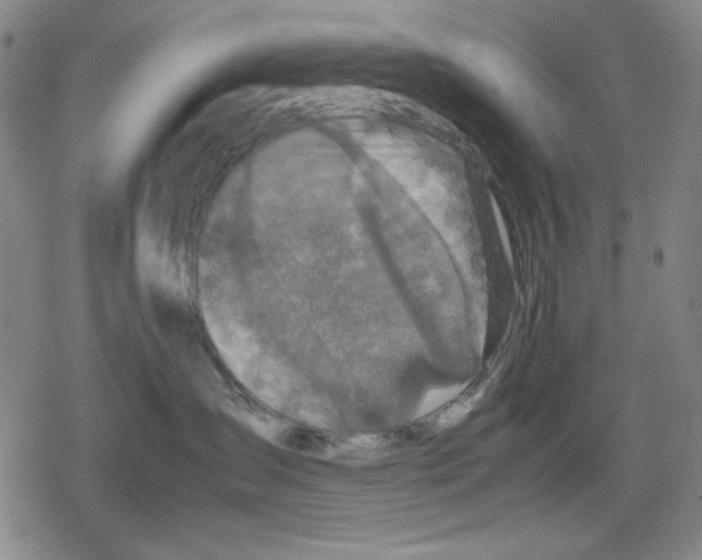 X0000079320431200612151822