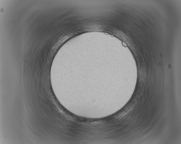 X0000079320433200612151821