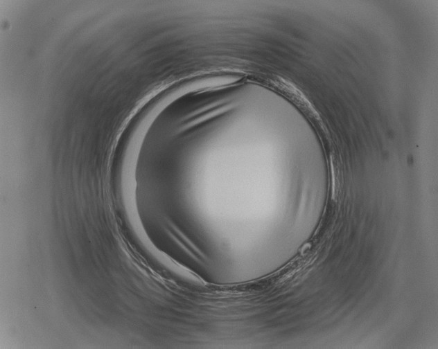 X0000079320435200612151821