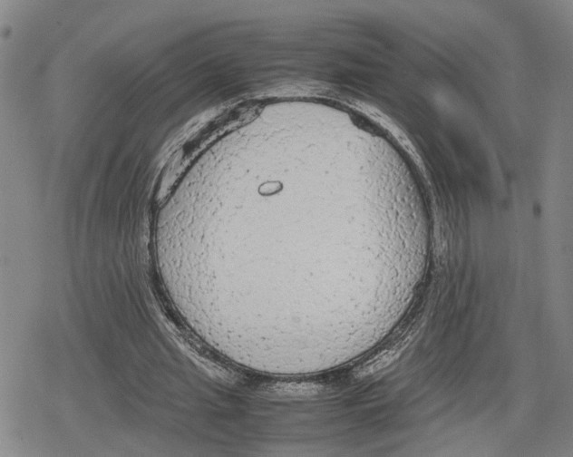 X0000079320437200612151821