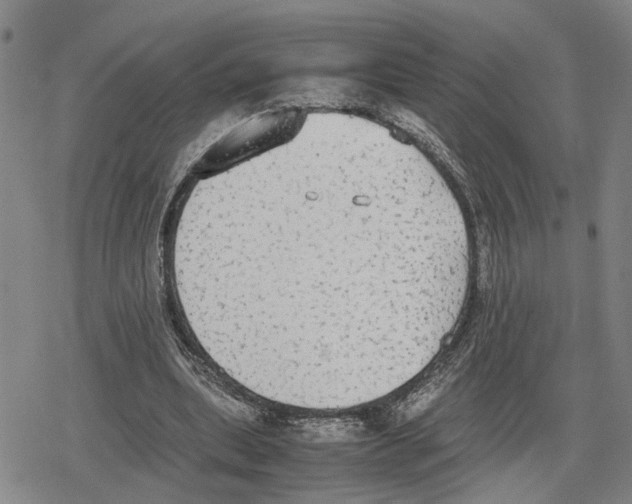 X0000079320439200612151821