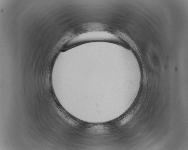 X0000079320441200612151821