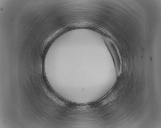 X0000079320446200612151821