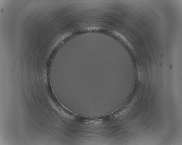 X0000079320447200612151821