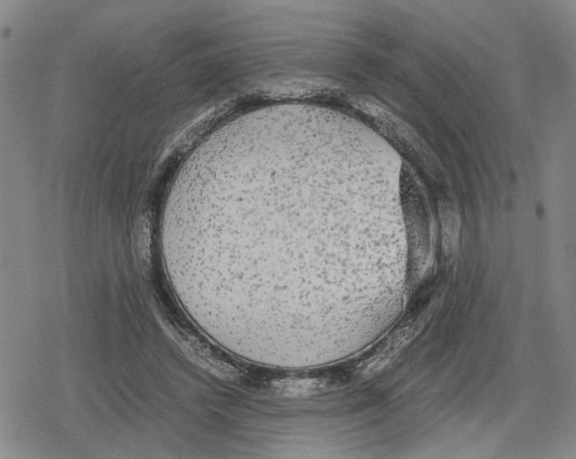 X0000079320448200612151821